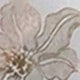 https://img.ltwebstatic.com/v4/j/pi/2025/07/24/02/1753321361b568867e81746b4932f9dbf711ed35c0.jpg